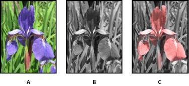 photoshop reduce k chanel|Color and monochrome adjustments using channels in .